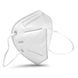 KN95 Mask (x 5)